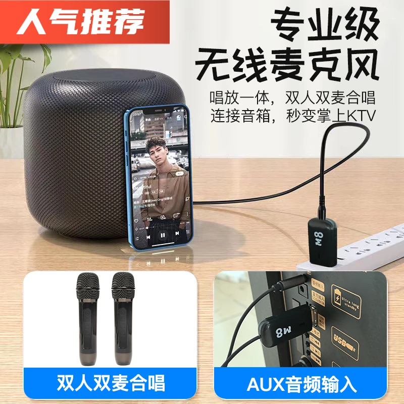 无线麦克风一拖二充电款动圈话筒家庭KTV直播声卡户外演出广场