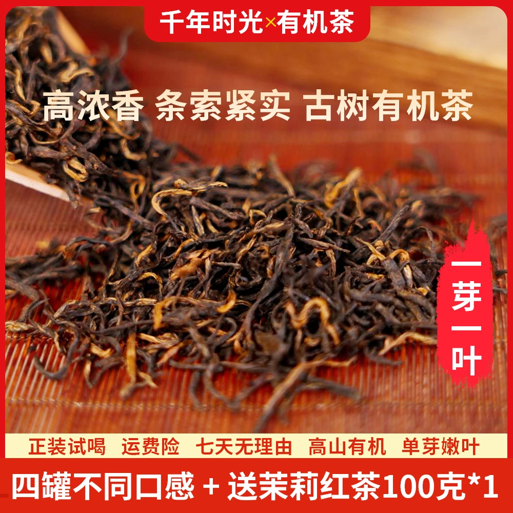 【四款口感】高山红茶新茶冲泡果香型荒野小种浓香甘甜有机茶叶特级