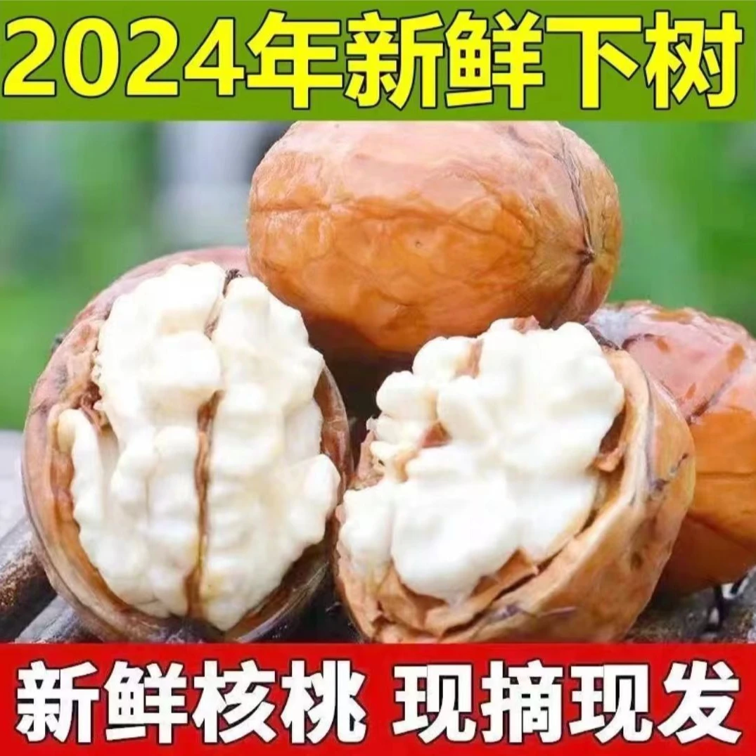 现摘2024年新鲜核桃四川大家凉山去青皮新鲜核桃去皮高山薄皮核桃