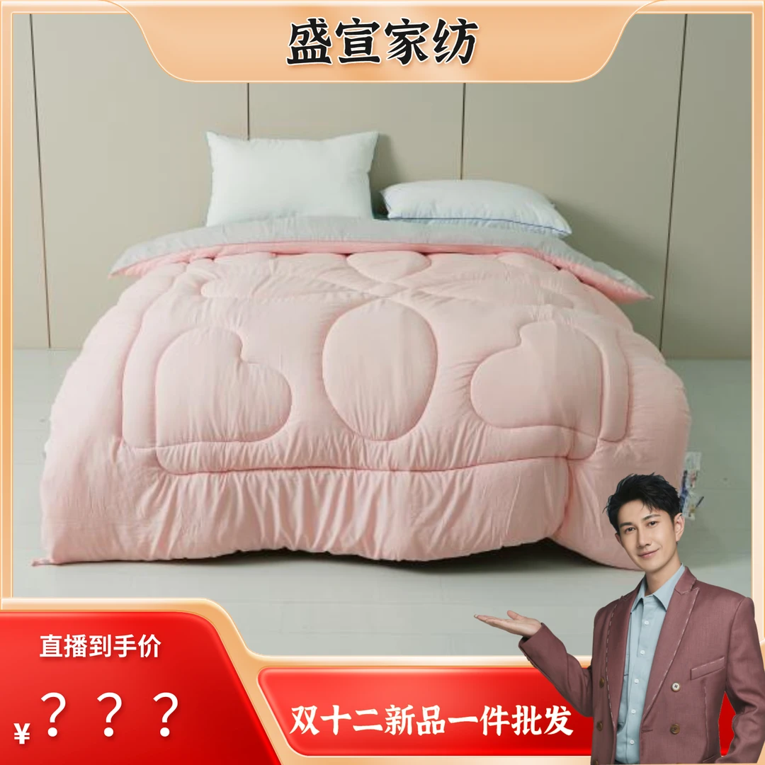【何明翰专属】2024年盛宣A类暖心云梦四季被-糯糯被 E