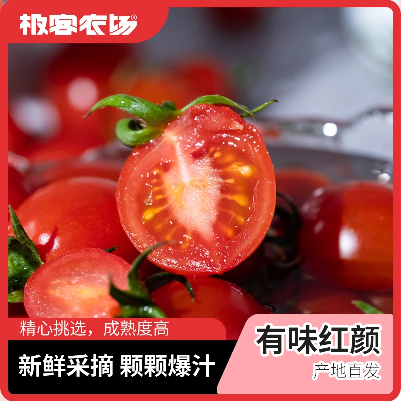 小番茄高甜度酸甜味浓汁水丰盈皮薄爆汁碱地圣女果 375g*3盒新鲜