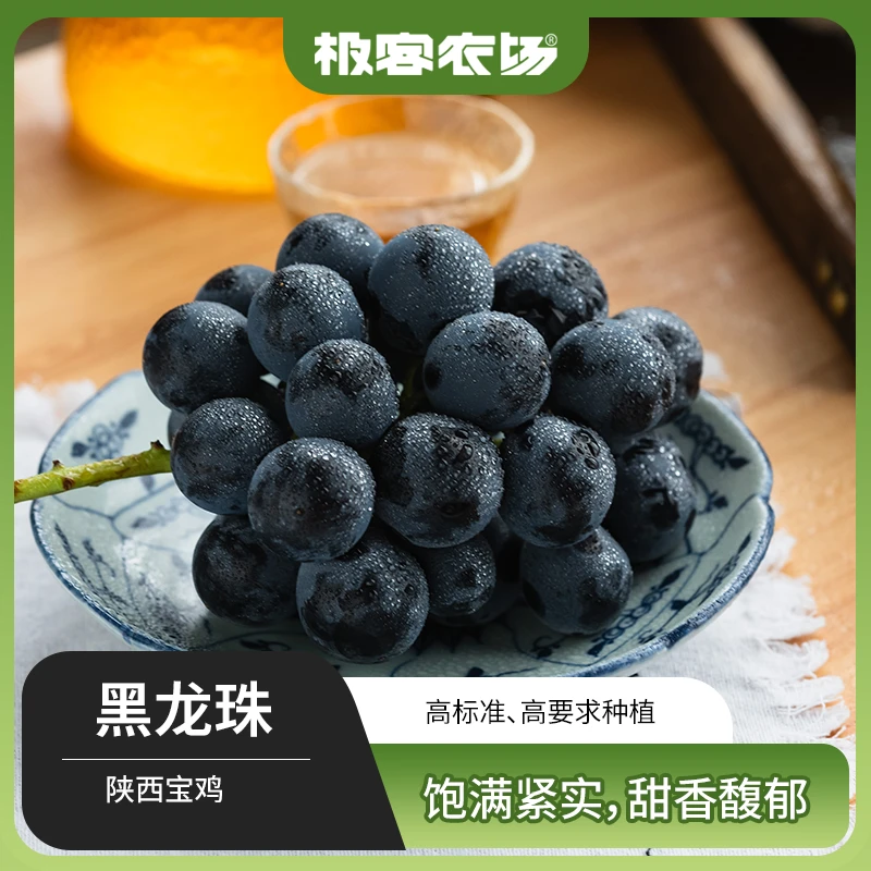 黑龙珠葡萄香果肉硬脆无籽花青素含量高带果酸香味独特风味好顺丰