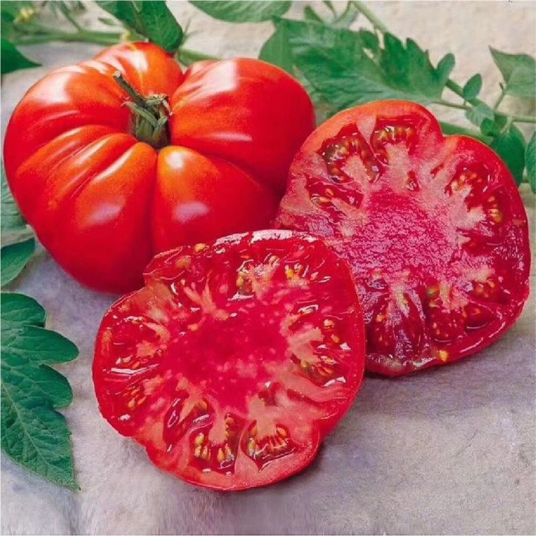 juhua xohla uruk 马蹄西红柿种子100粒 包邮各地发货