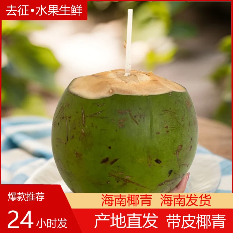 椰子海南椰子椰青新鲜孕妇水果小孩当季现摘带皮发货重量采摘