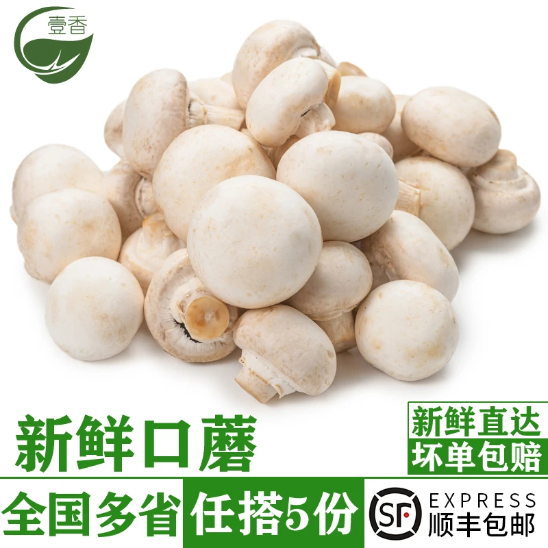 新鲜蘑菇250g 口蘑菇白蘑菇口菇食用菌菇双孢菇煲汤炒菜新鲜蔬菜