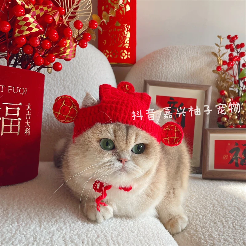 迎财神猫咪狗狗新年帽子过年小猫头套英短头饰宠物针织毛线装饰品