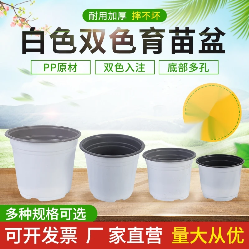一次性双色特大号育苗盆加厚塑料育苗杯营养钵种植盆白色简易花盆