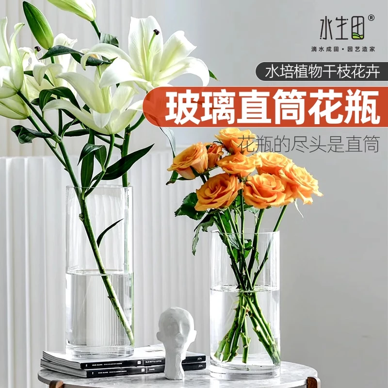 玻璃花瓶大号加厚插花鲜花家用加厚大口径客厅龟背竹水培专用器皿
