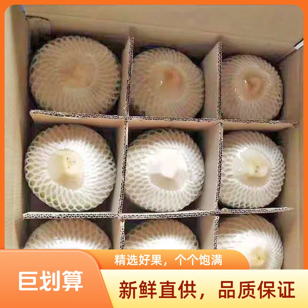 海南新鲜椰青天然特产海南椰青9个装送开椰器吸管