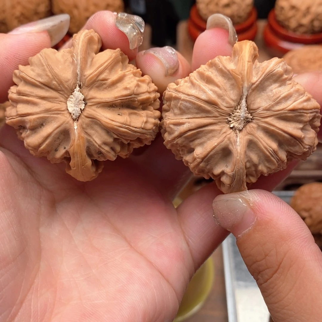 柏香籽/百香籽吊坠40白狮子白狮子