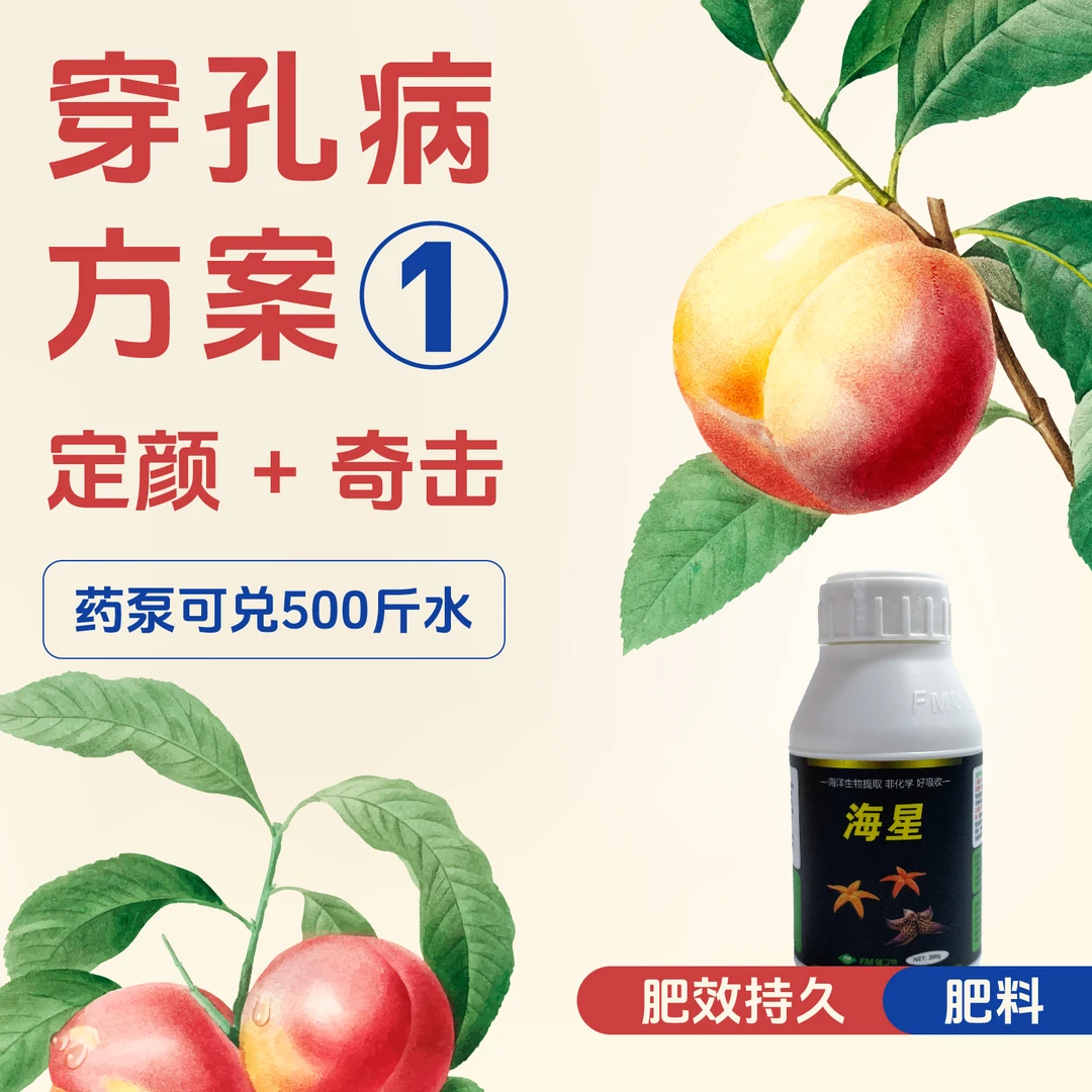 穿孔病方案1 定颜+奇击 每组兑500斤水 水溶肥