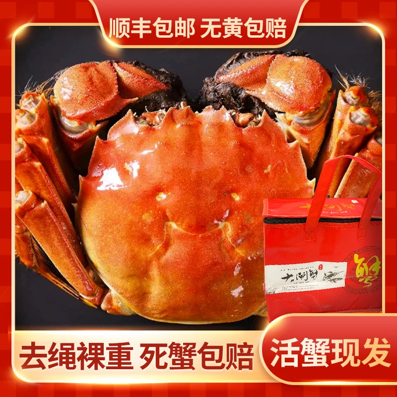 【供销社】大闸蟹现发精挑金标母蟹3.6两-3.4 顶盖肥6/8/10/12只