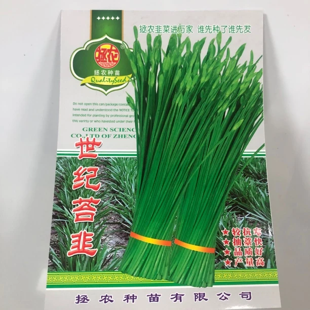 世纪苔韭，保护地栽培，可以四季抽薹