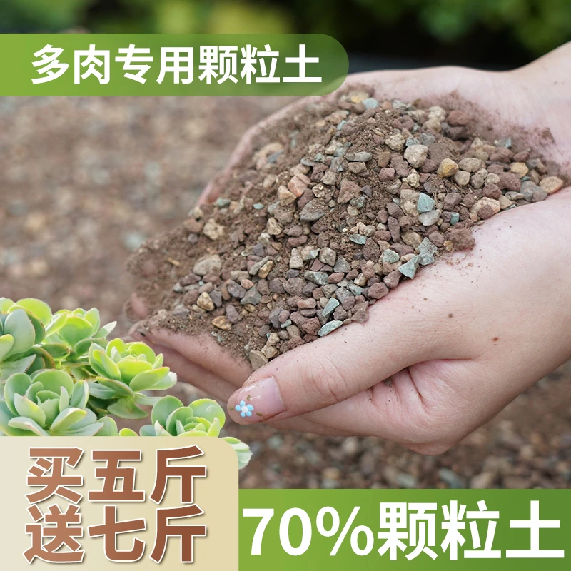 【顾老师专属】70%颗粒土12斤多肉专用土配方透气滤水多肉植物使用