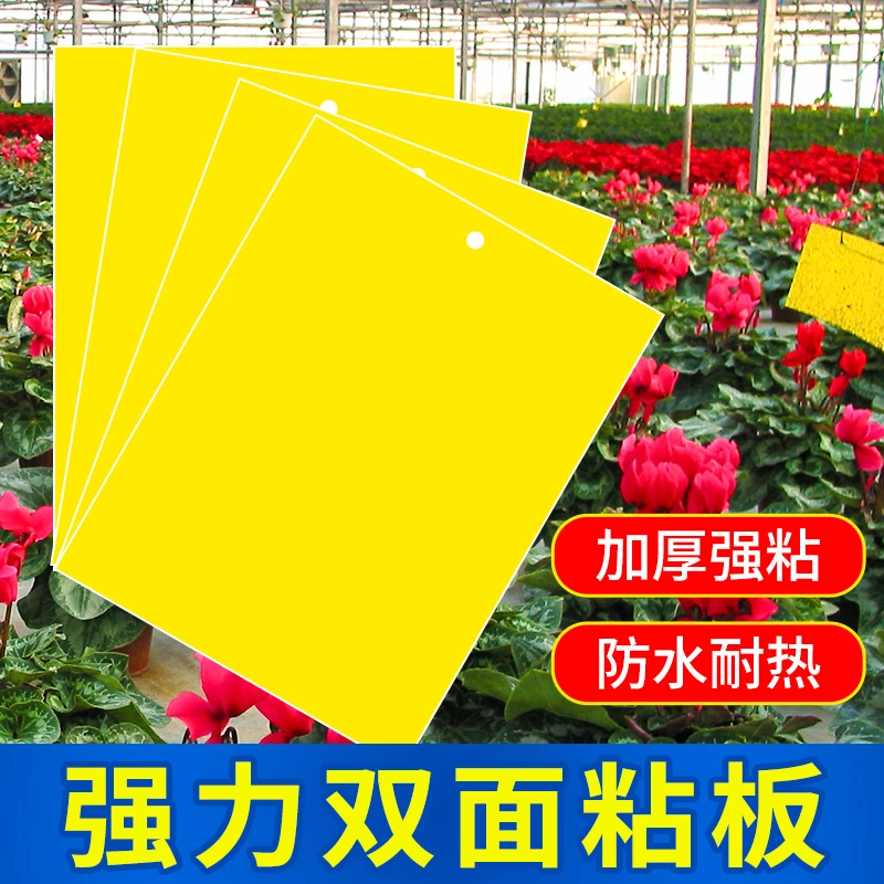 粘板大号双面黄板纸贴防小黑飞安全耐用园艺通用船长花园颜色黄板