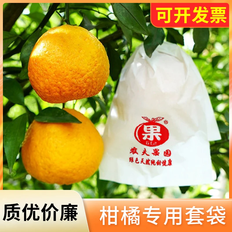 耙耙柑橘子套袋专用水果套袋防鸟防虫柑橘葡萄无花果石榴梨子袋子