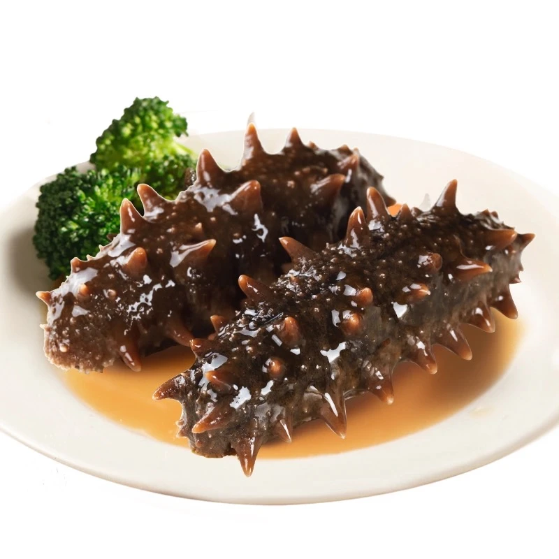【一霏】底播半野生大号鲜食海参10-15只/斤/包 共2斤10厘米左右/只