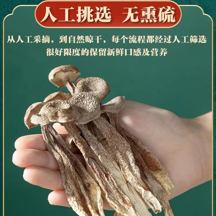 鹿茸菇脆脆菇鹿茸菌香菇蘑菇菌子煲汤炒菜炖菌菇类营养天然
