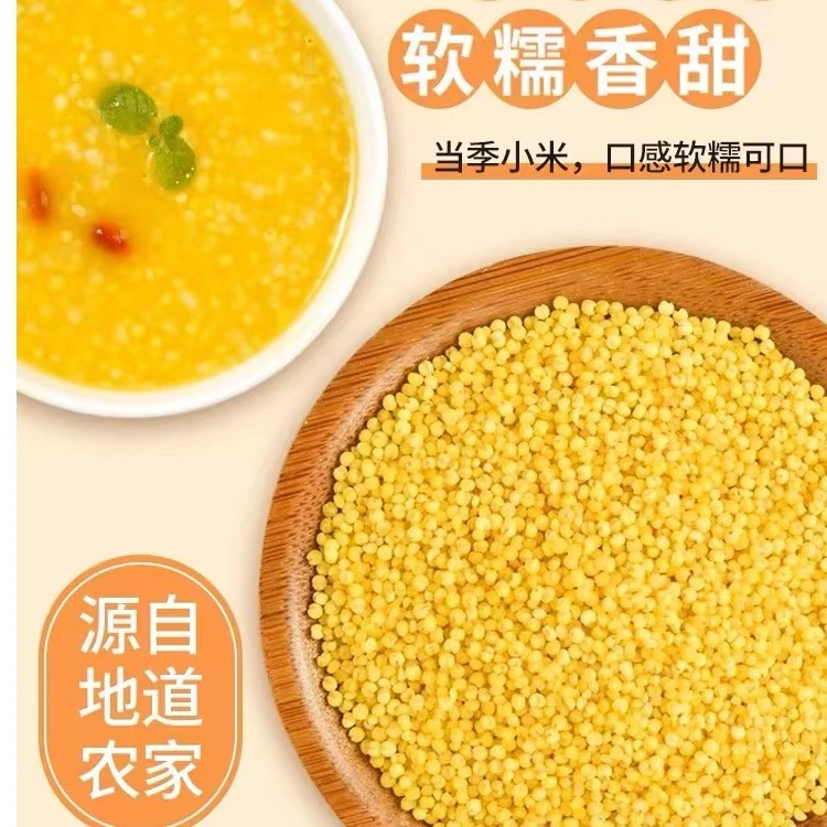 小米新米粗粮小米粥五谷杂粮农家小米高山种植五斤装营养美味