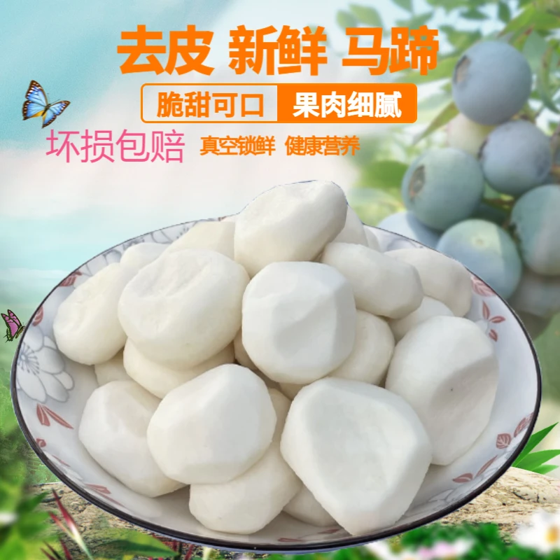 新鲜去皮马蹄荸荠地梨水果脆甜无渣现削现发火锅食材
