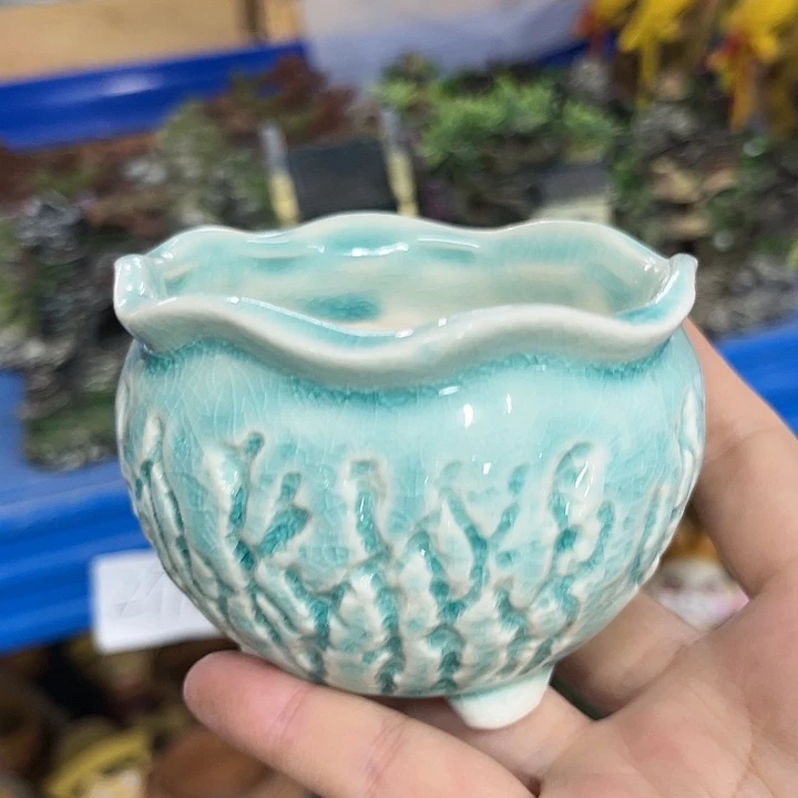 陶瓷20CM以下陶瓷花盆特价上新