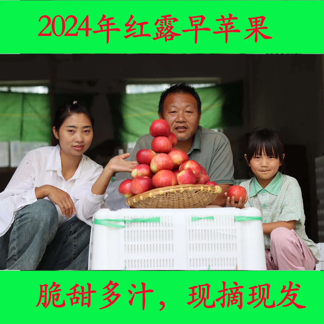 2024年昭通早苹果产地直发（中通包邮）