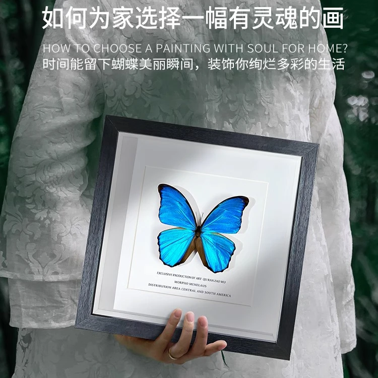 大蓝闪蝶蝴蝶标本相框成品展翅展示框昆虫名贵罕见蓝色当生日礼物