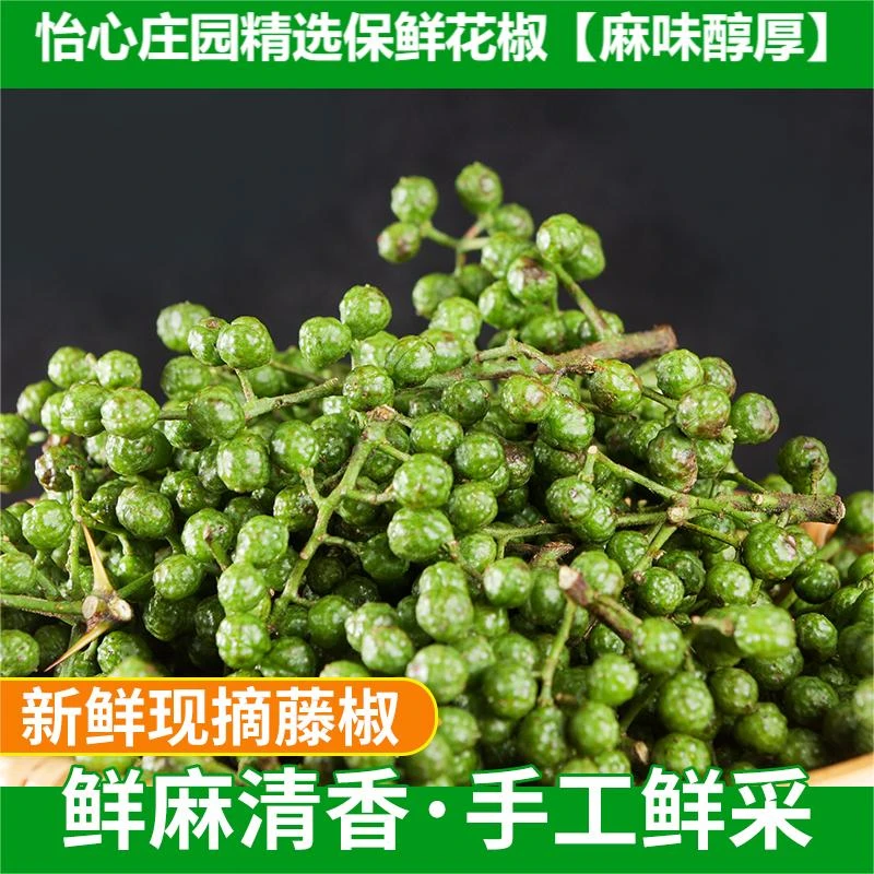重庆九叶青保鲜花椒又麻又香新鲜采摘产地直发