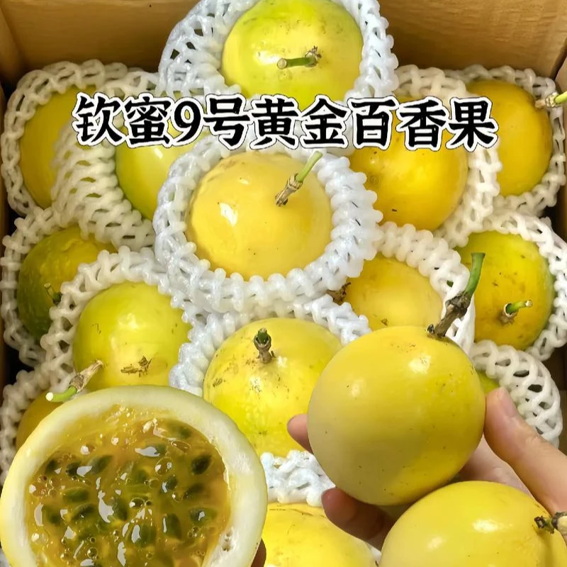 黄金百香果A级果产地直发新鲜采摘水果切果捞
