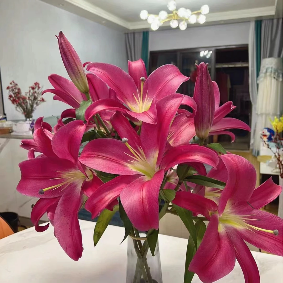 【帕拉佐】云南基地直发百合花鲜花瓶插水养香水百合鲜切花