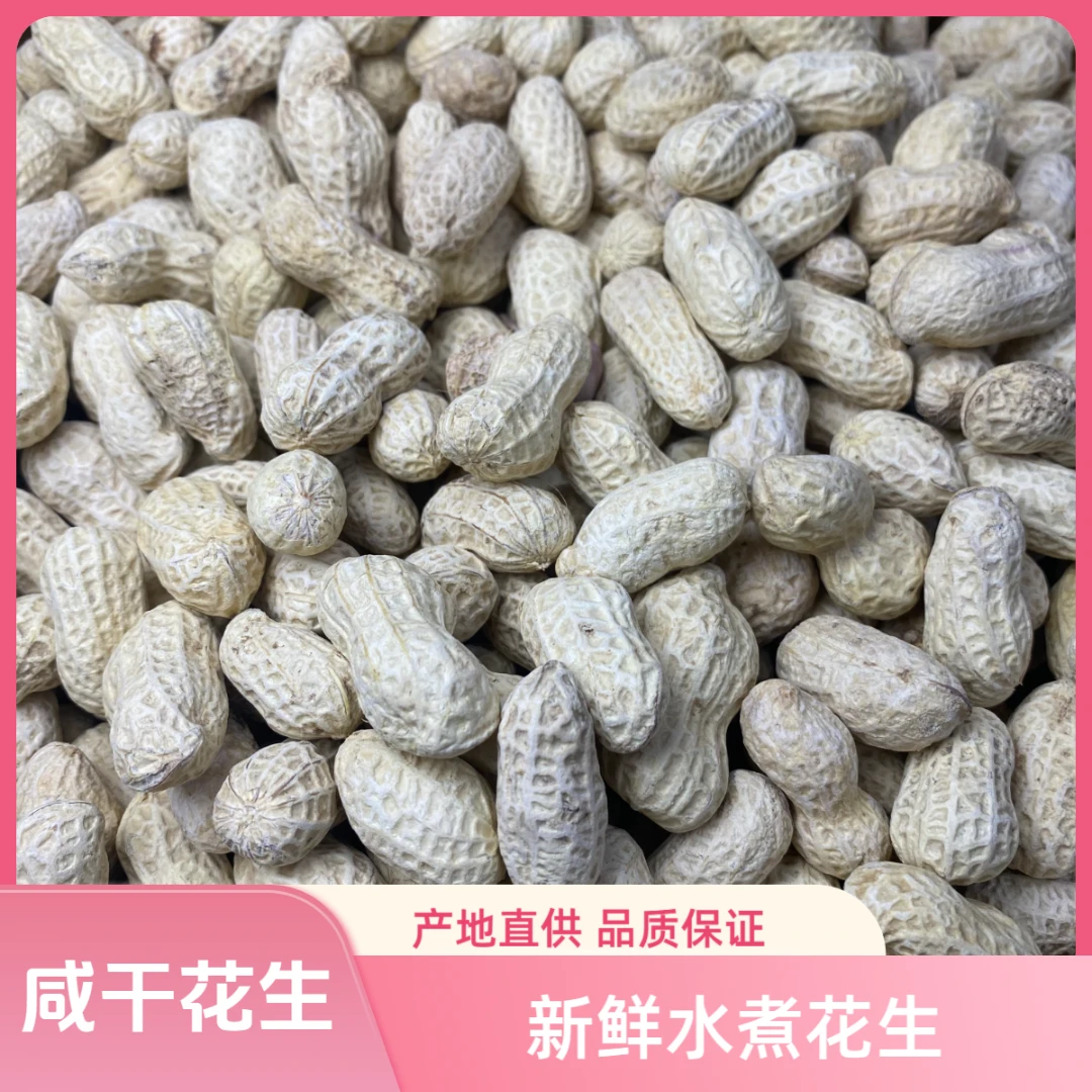 【水煮咸干】水煮花生追剧解馋小零食下酒茶点农家古法现做现发