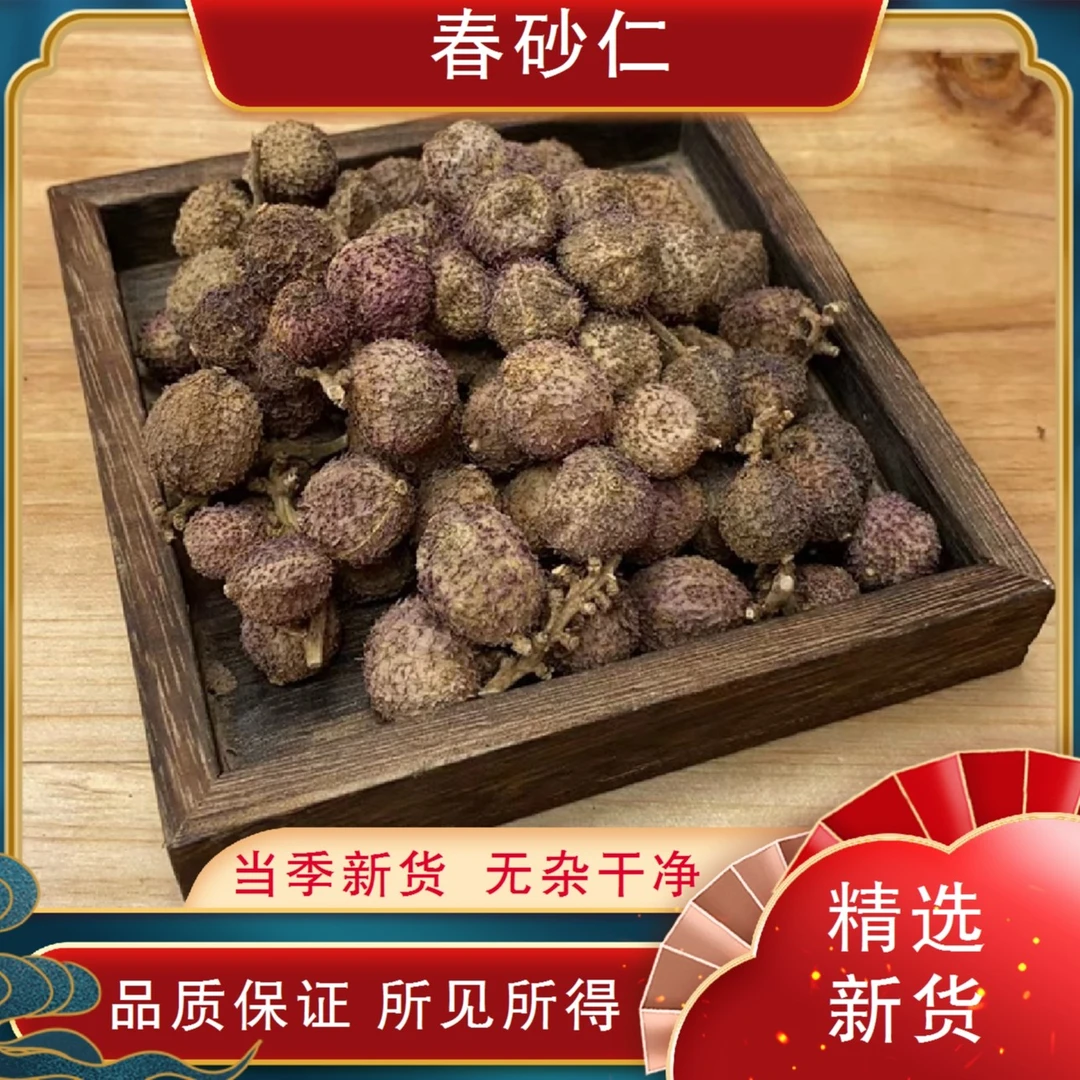 月自明 春砂仁 100克200克