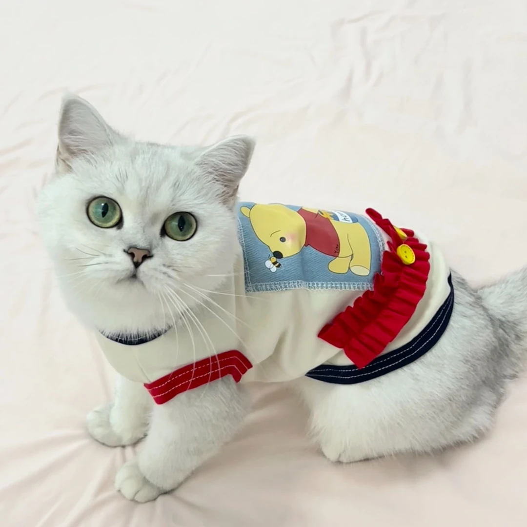 针织贴布小熊布偶猫衣服防掉毛猫咪专用背心宠物秋装秋季可爱服装