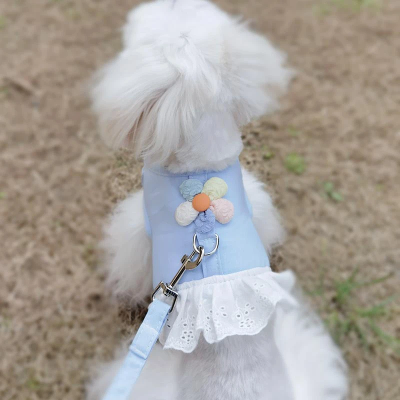 狗狗衣服带牵引绳小型犬博美比熊泰迪狗绳衣服式春秋款薄款公主裙