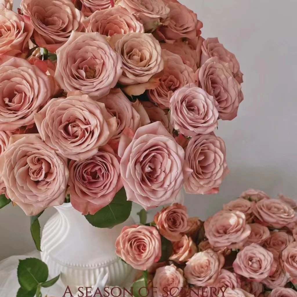 【卡布】云南基地直发顺丰冷链包邮