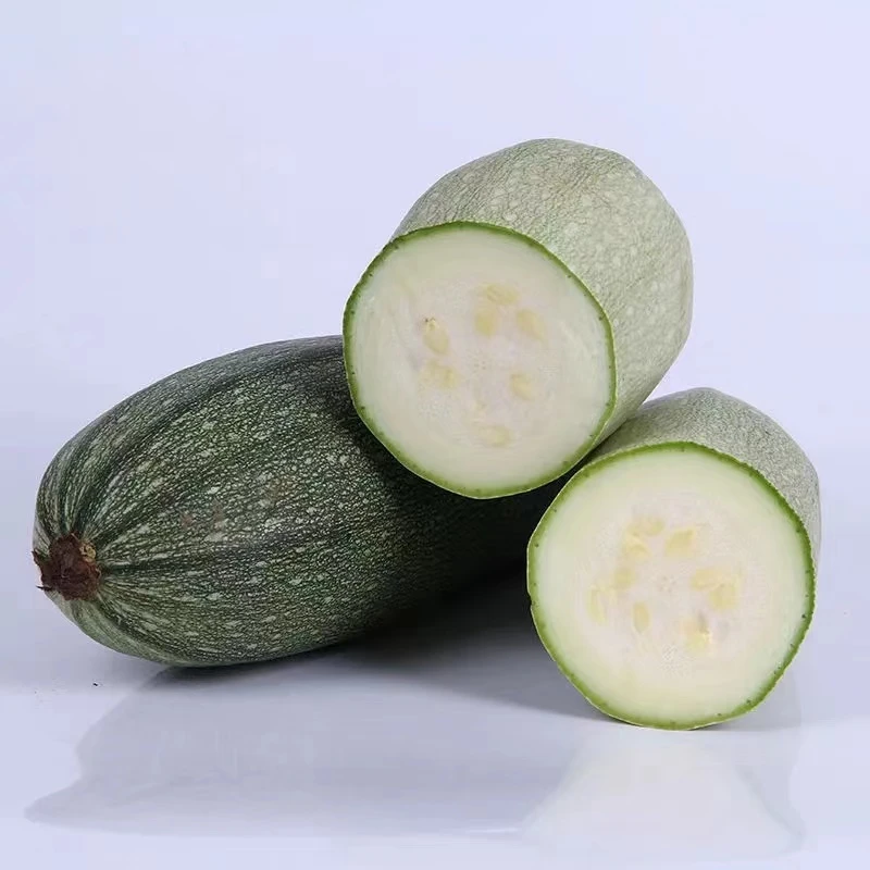 西葫芦 白瓜 茭瓜