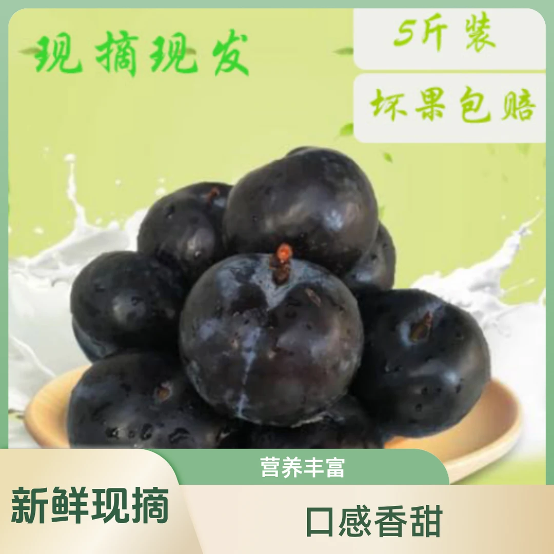 【顺丰包邮】黑布林李子当季现摘先发优质生态香甜采摘新鲜多汁好吃