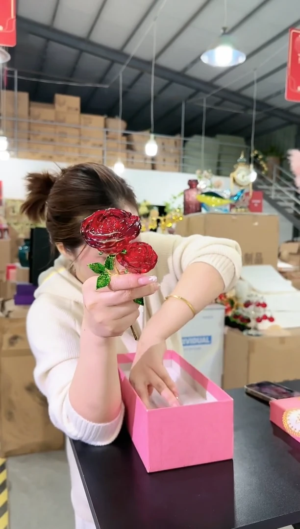 【闪购商品】迪喜X-尾货-66早