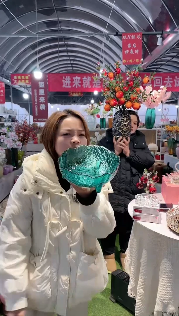 【闪购商品】迪乔ZB-13