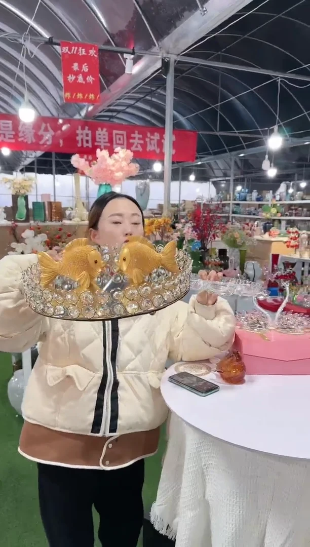 【闪购商品】迪优ZZ-10一对金鱼