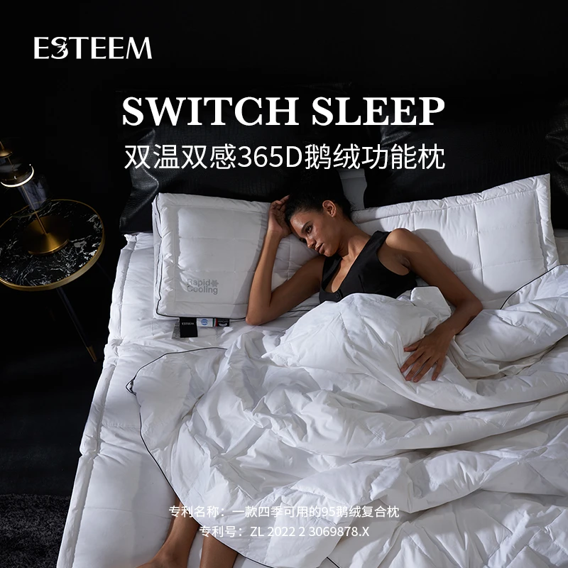 ESTEEM/宜庭双温双感365D鹅绒复合功能枕