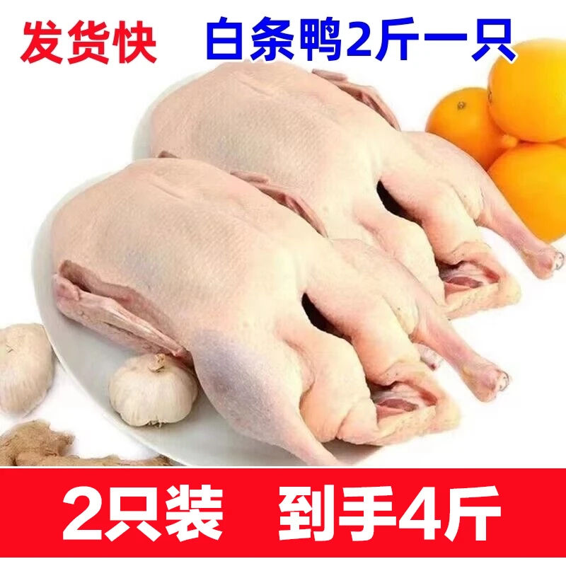 【2只装】到手4斤2只白条鸭肉鸭新鲜鸭子瘦肉免洗净重4斤