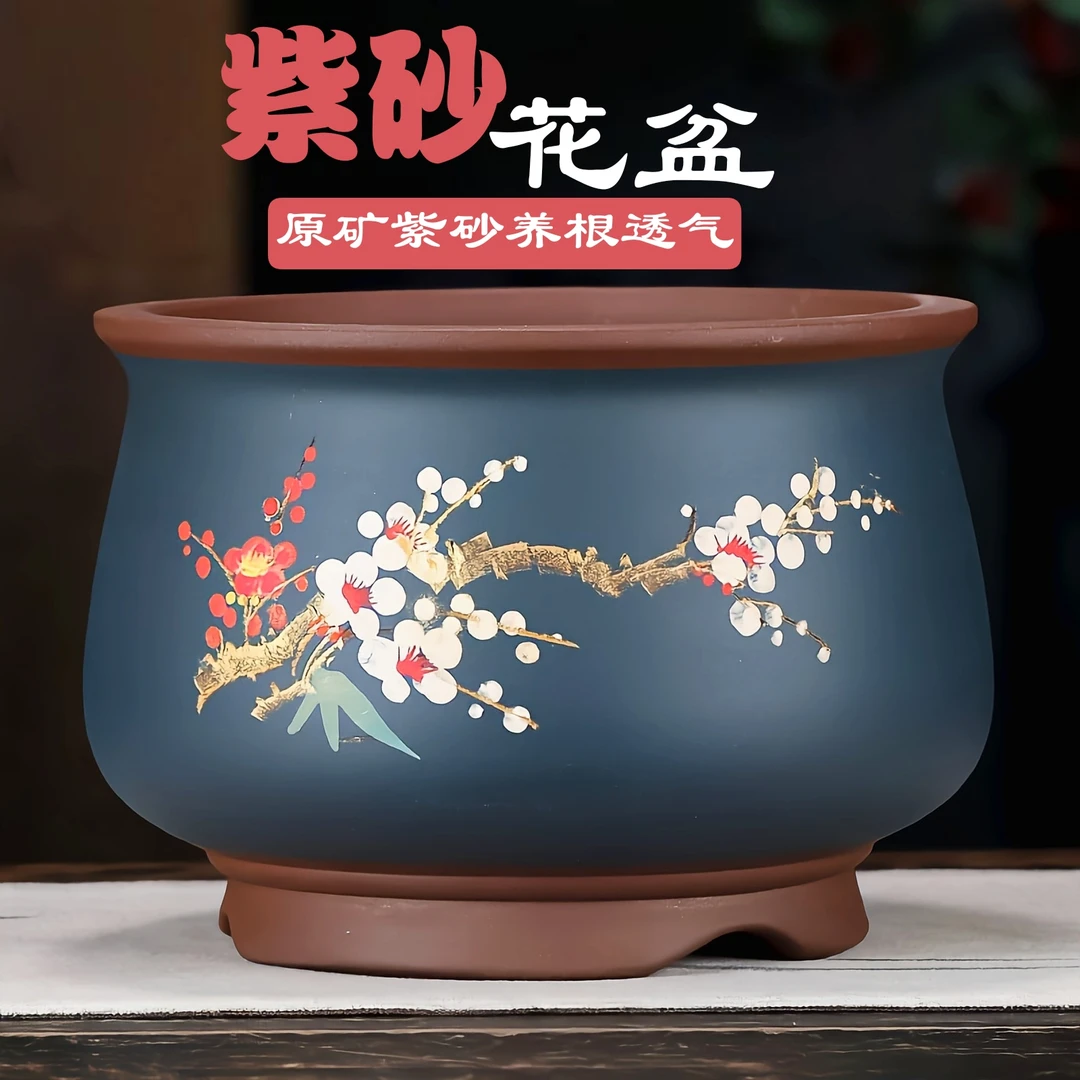 宜兴清仓紫砂花盆兰花君子兰虎皮兰蝴蝶兰多肉陶瓷盆景绿植40花卉