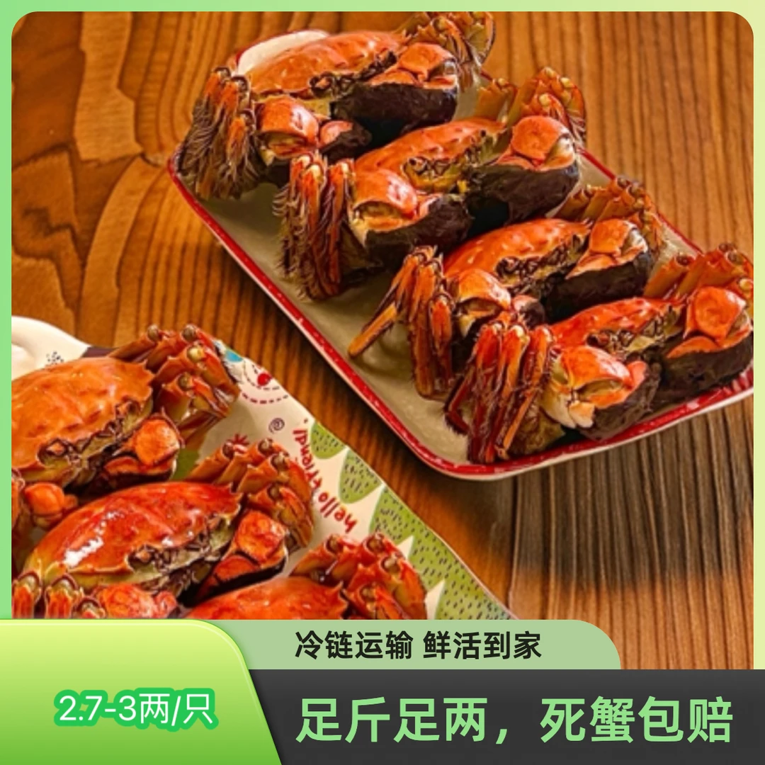 盘锦河蟹公蟹规格2.7-3两共8只约2.4斤