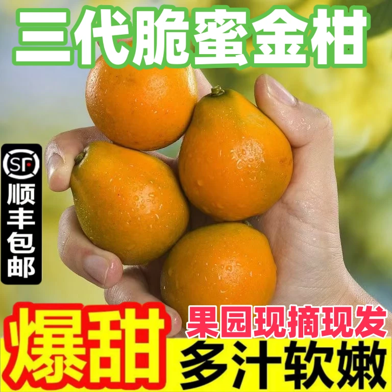 融安脆蜜金桔第三代3斤/5斤脆甜多汁纯甜金柑无核送礼水果新鲜