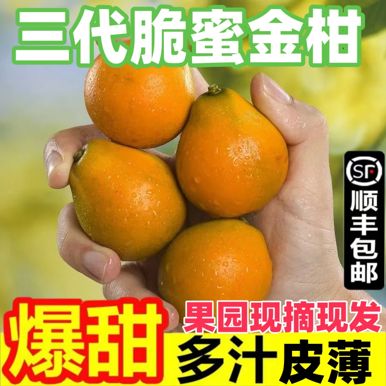 【脆蜜金柑】正宗广西融安金桔第三代金柑纯甜无籽新鲜带皮吃水果