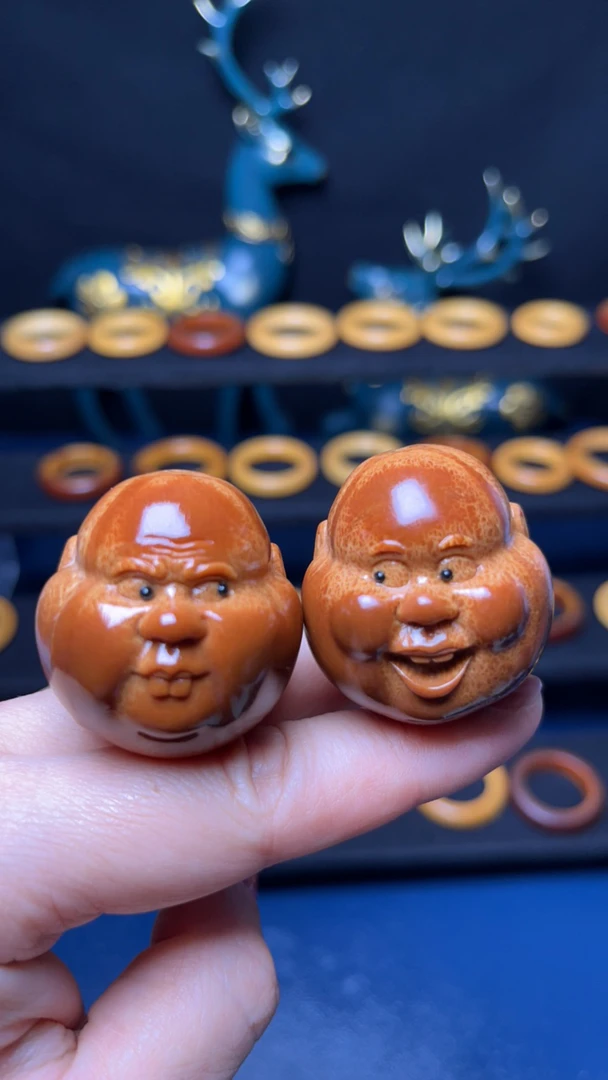 呆呆 你瞅啥 瞅你咋滴 小可爱巴西橄榄核