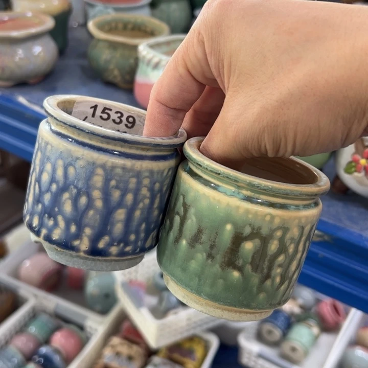 【闪购商品】陶瓷20CM以下@@1539