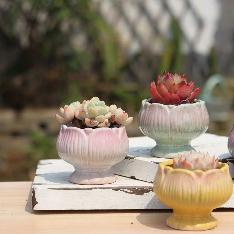 多肉植物花盆窑变小群生花盆莲花老桩盆精控桌面盆栽渐变陶瓷