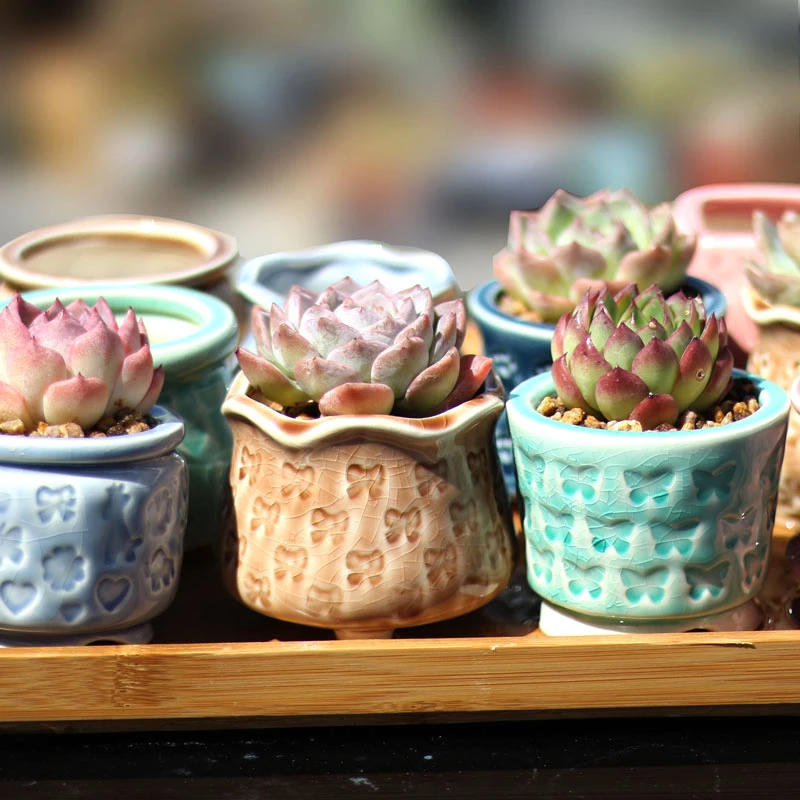 新款印章多肉花盆冰裂流釉拇指盆小清新控养盆简约手工雕刻盆爆款